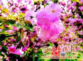 ̘@(ni)ęѻ涷Gӛuz