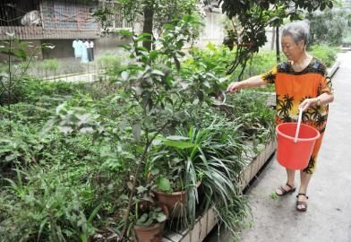 627ͬƘM8̖ԺSڽoԺֲˮ